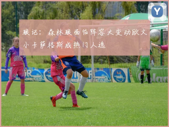 狼记：森林狼面临阵容大变动欧文小卡萨格斯成热门人选