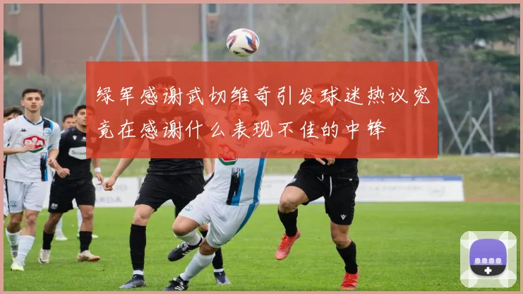 绿军感谢武切维奇引发球迷热议究竟在感谢什么表现不佳的中锋
